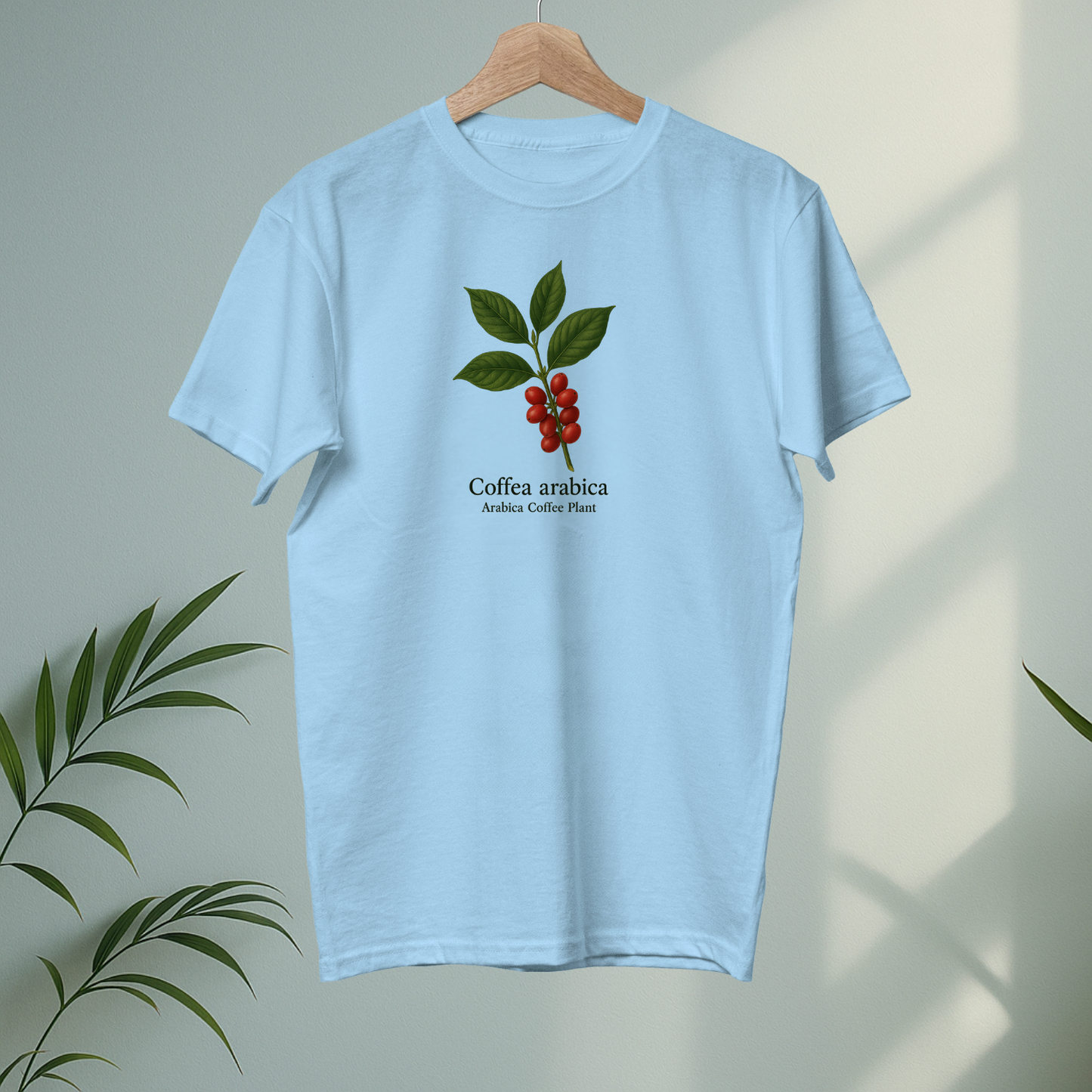 Coffee Arabica